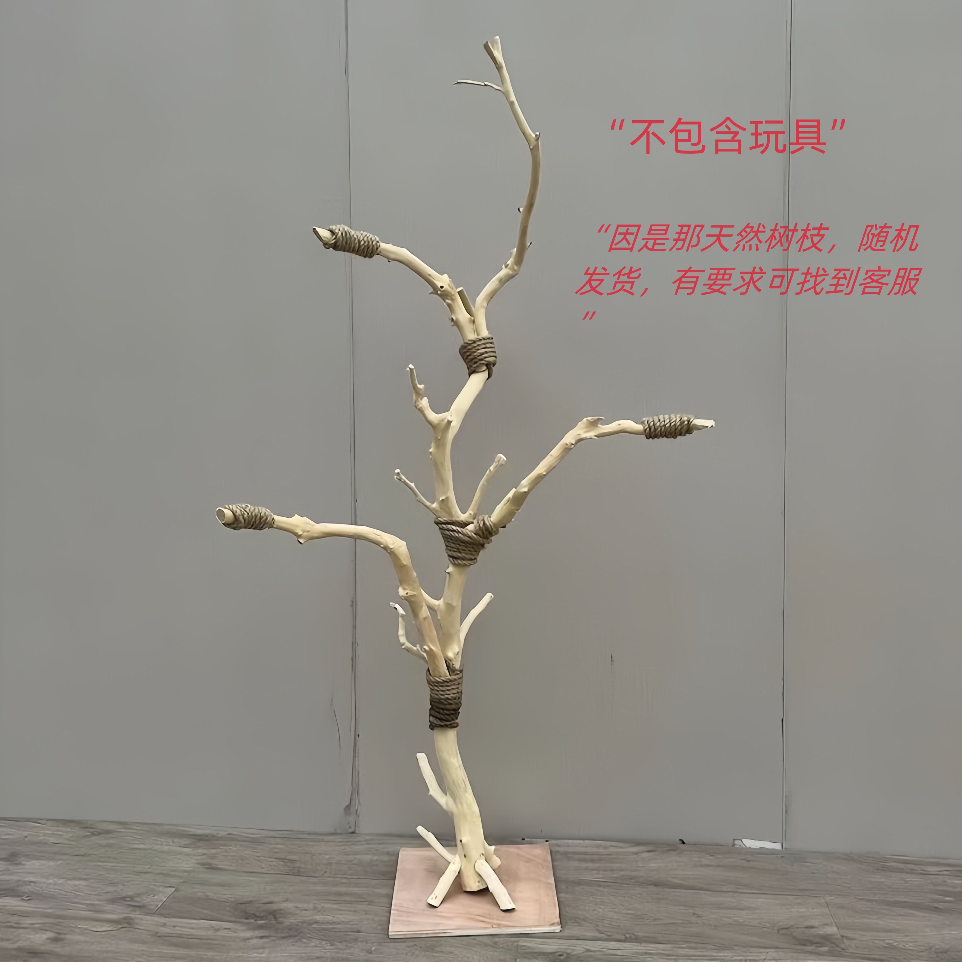 实木站架树枝鸟干枝分叉