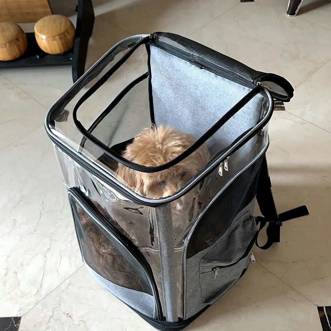 缅因猫宠物外出便携包透