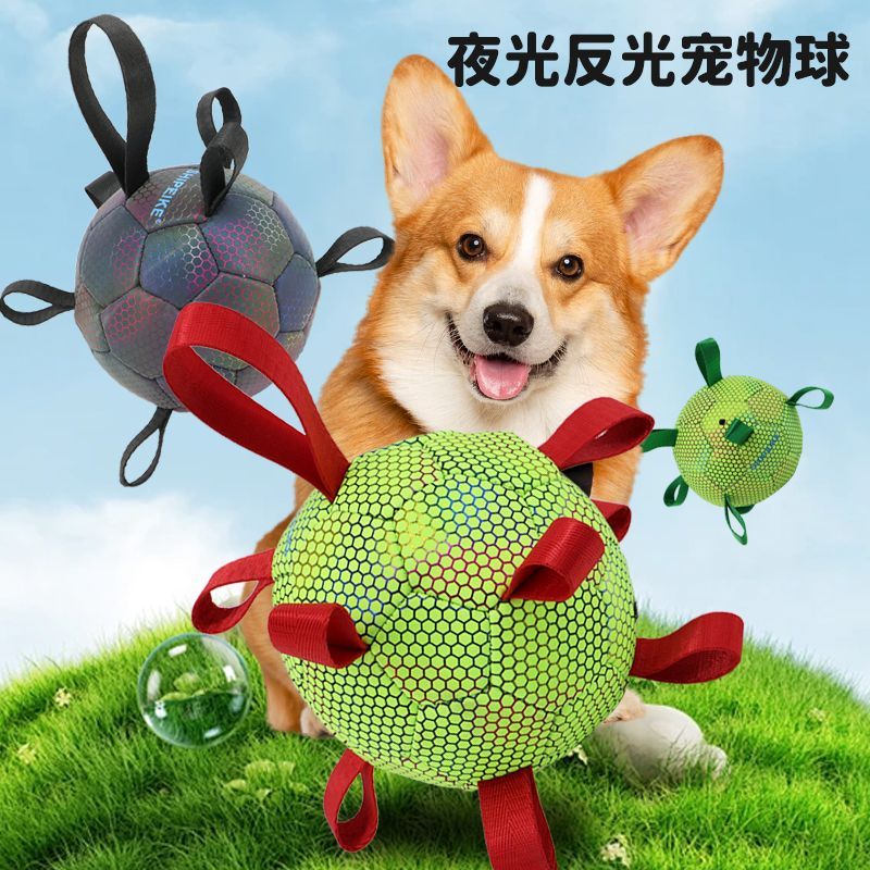 大型犬边牧狗狗玩具耐咬