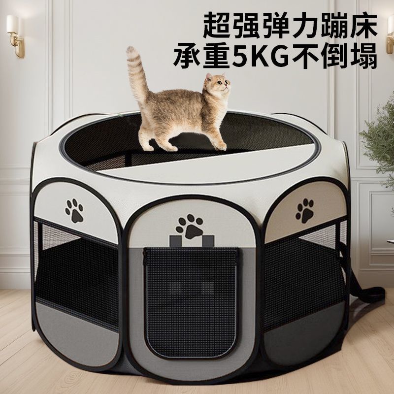 猫咪产房怀孕专用狗狗待