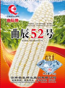 曲辰52号 高产高蛋白青贮玉米种子 植株高大茎秆粗壮