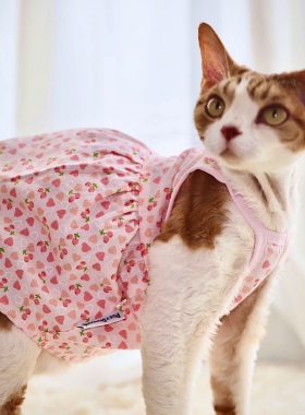 Pico 德文猫衣服无毛猫宠物衣服夏季薄款粉色爱心樱桃吊带连衣裙