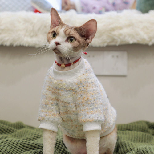 【冬日限量】美拉德针织卫衣德文猫衣服无毛猫斯芬克斯衣服套头衫