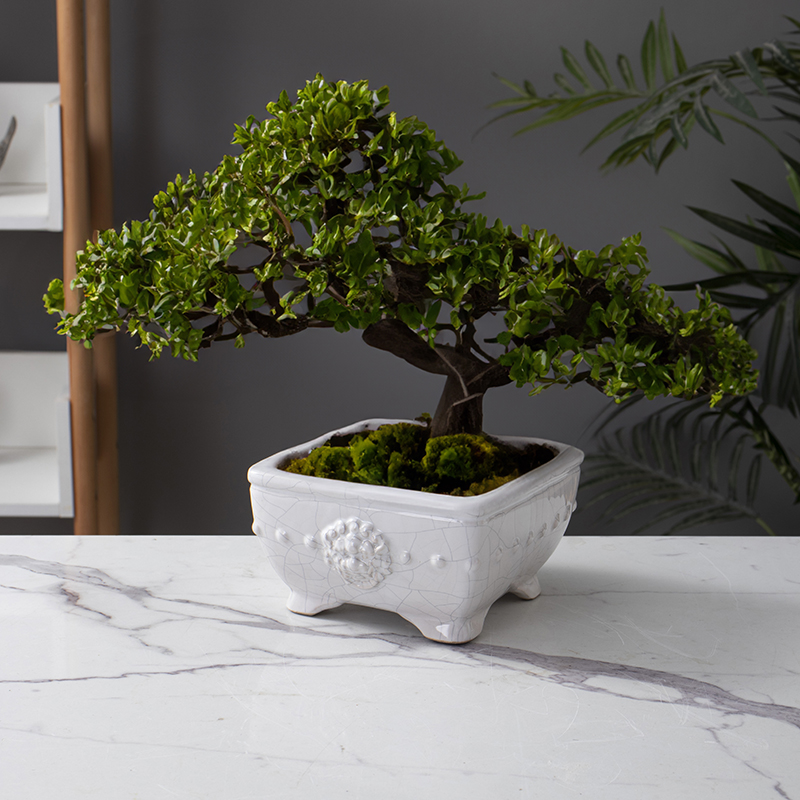 青瓷汝窑冰裂陶瓷花盆桌面盆景盆