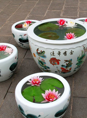 绿植根茎睡莲种子办公桌水生花卉
