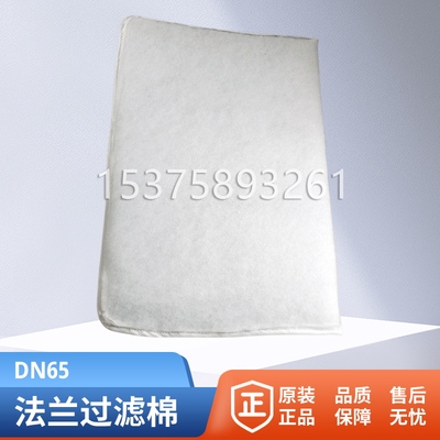 DN65法兰过滤棉螺纹过滤棉