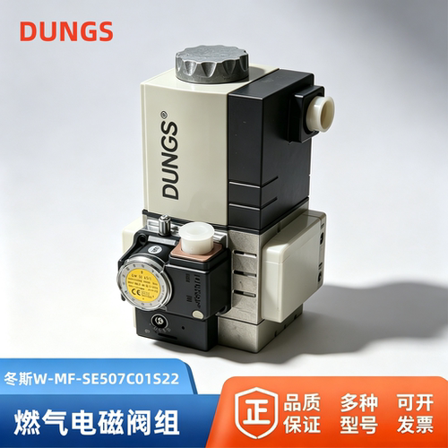 原装冬斯dungs组合电磁阀