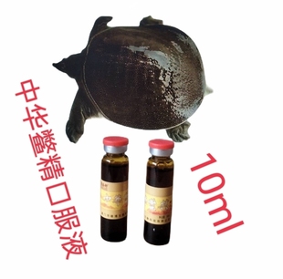 正品中华鳖精口服液小孩儿童青少年成人中老年人通用10mlX10支/盒