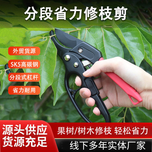 省力果树护手修枝剪刀分段式专业园艺修剪树枝园林修花枝剪粗枝剪
