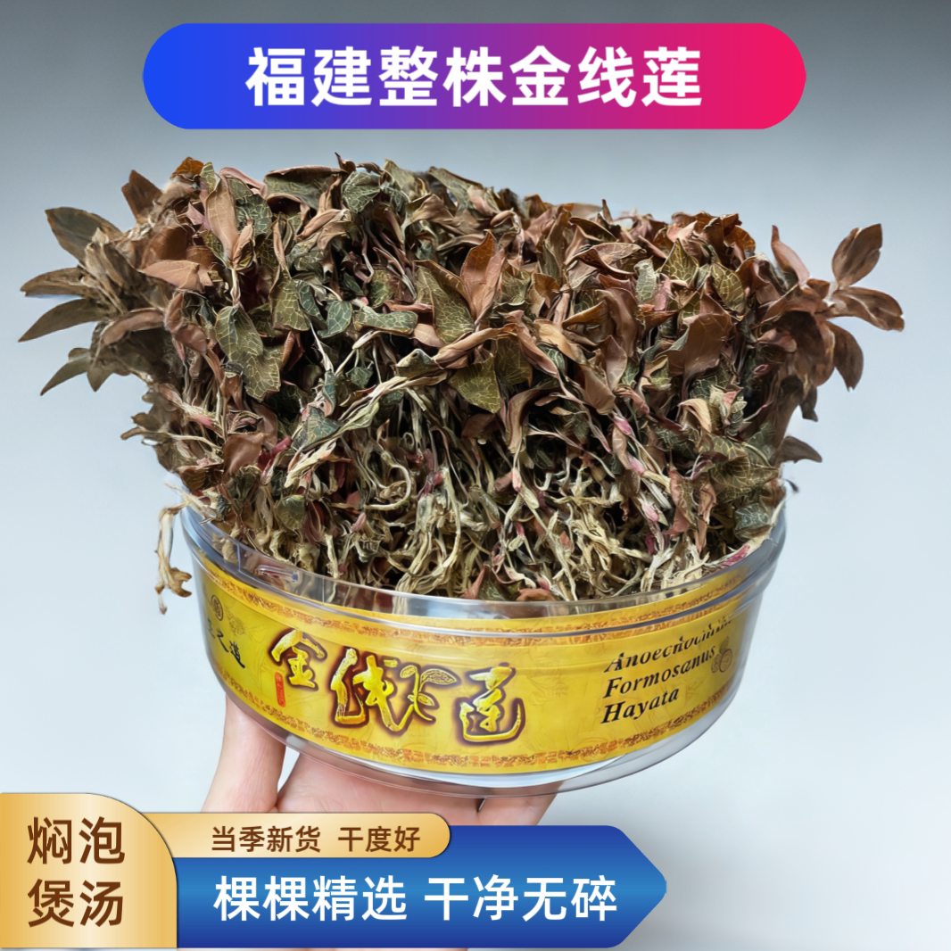 正宗福建整株红霞金线莲无碎干度好适合熬夜烟酒人士喝甘清甜凉茶