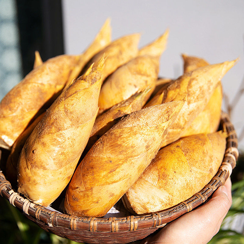 【顺丰】2025遂昌冬笋新鲜高山冬笋原产地三仁小忠村当天现挖鲜嫩