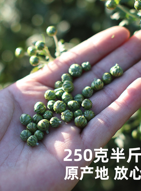 丽水特产2025新石练菊米花草茶野菊米原产地直接发货 实惠250克装