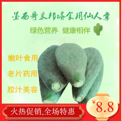 多肉植物药价格 多肉植物药图片 星期三