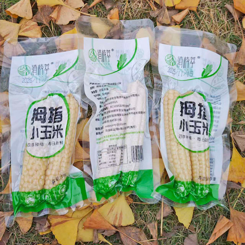 滇枝萃拇指小玉米西双版纳特产低脂即食宝宝好吃软糯非转基因玉米