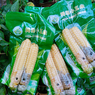 帕沙傣拇指小玉米西双版纳特产新品果业低脂即食非转基因宝宝粗粮