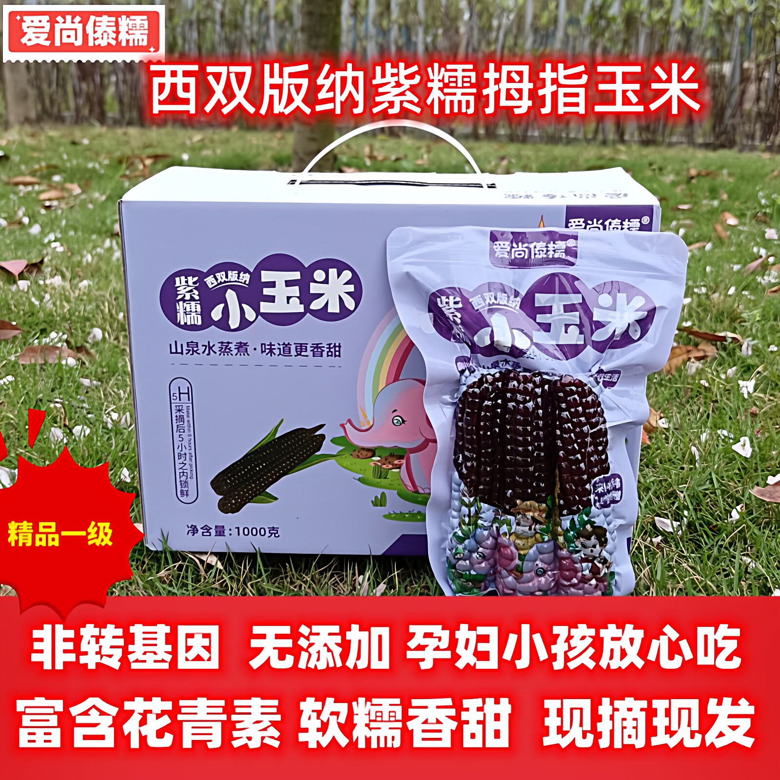 西双版纳紫色拇指玉米爱尚傣糯新鲜甜糯黑糯低脂宝宝非转基因辅食