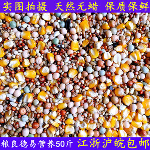 粮良德易A级鸽粮有玉米营养赛飞饲料食粮观赏信鸽子赛鸽50斤包邮