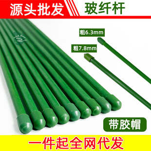 玻纤杆植物支架爬藤花架支柱杆月季架番茄架支撑杆子玻璃钢纤维棒