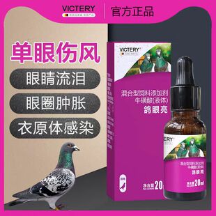 汉诺威鸽眼亮鸽子鹦鹉药单眼伤风一滴灵眼睛药水衣原体流泪肿胀