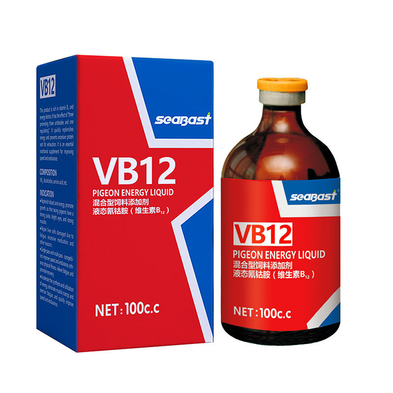 赛巴斯VB12赛鸽多关比赛专用