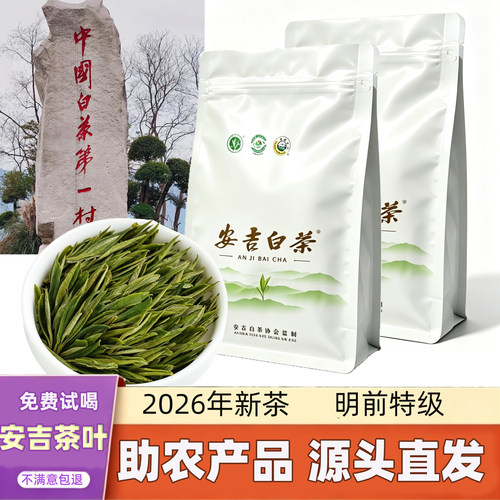 正宗白茶安吉高山特级2026年新茶