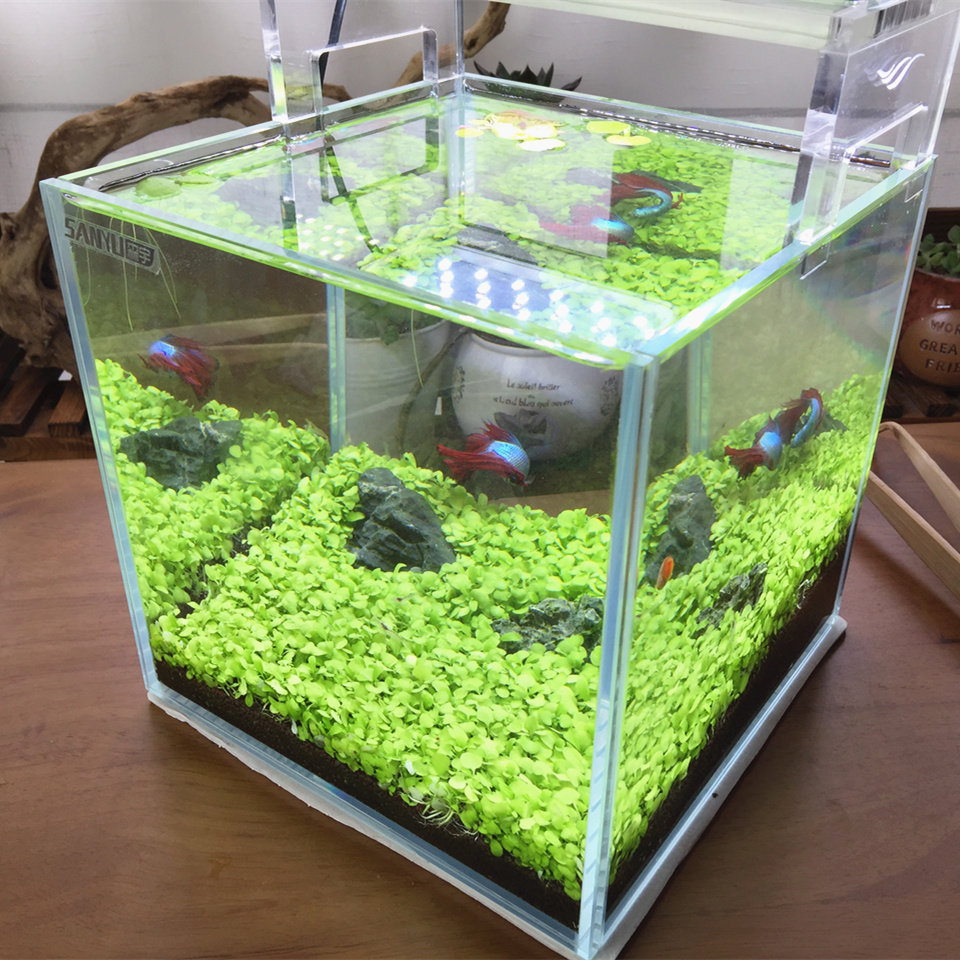水草鱼缸草缸水草种子前景草速成草坪水族造景超迷你矮迷你对叶