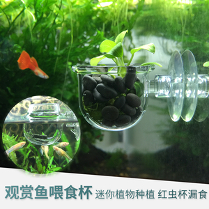 玻璃红虫杯 鱼缸水族箱水晶红虫喂食 观赏鱼观赏虾喂食血虫喂食