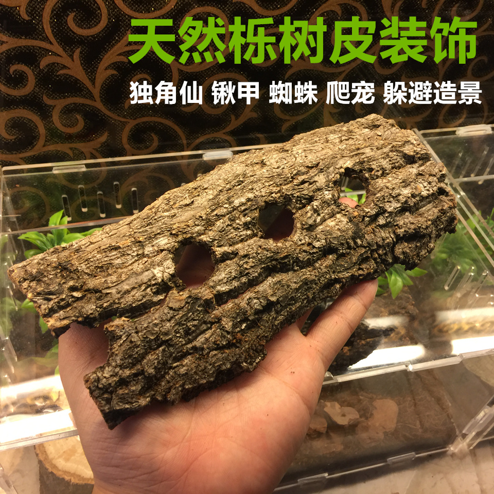 阔叶树皮成虫造景攀爬躲避