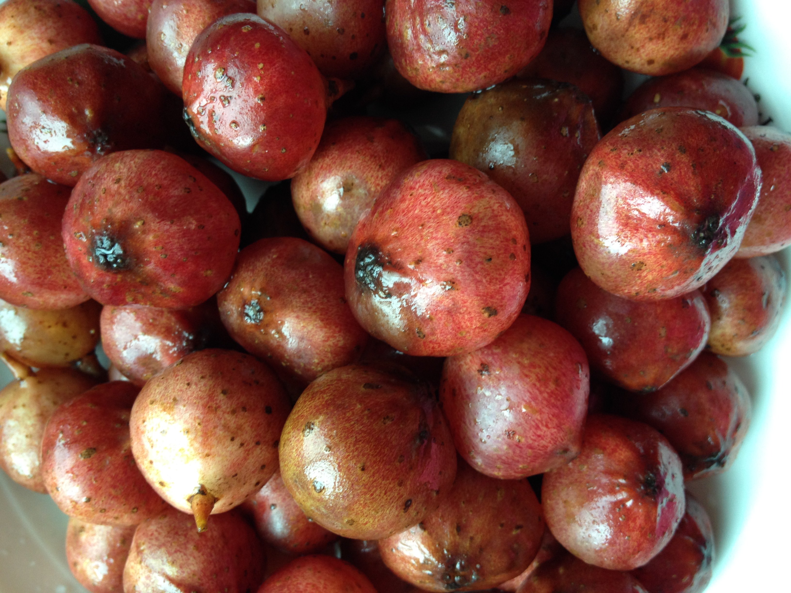 回忆零食地枇杷野地瓜地石榴满地香野果地无花果泡儿满口香鲜水果
