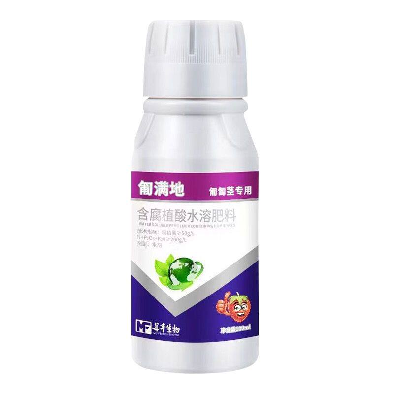 草莓匍匐径伸长早萌发扎根快茎秆壮不易生病抗逆性强易吸收促发快