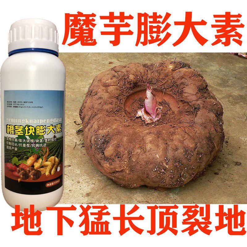 魔芋膨大素魔芋膨大剂魔芋专用增产药魔芋膨大药魔芋膨大叶面肥
