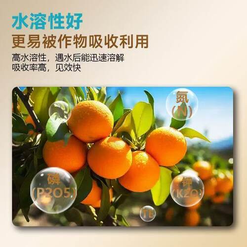 高钾型大量元素水溶肥花