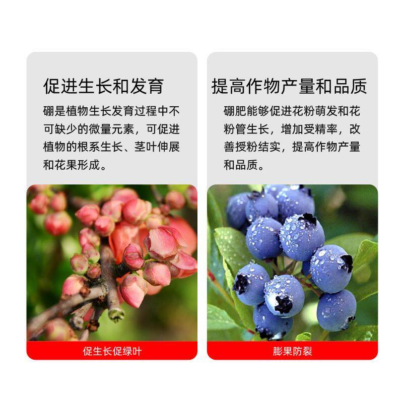 硼肥叶面复合磷钾肥护花果农用颗粒硼砂水溶肥微量元素促花促果