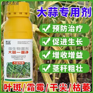大蒜病害一遍净微生物菌剂叶枯黄叶紫斑干尖疫病白粉预防根腐专用