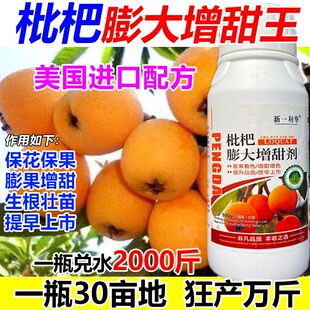 进口枇杷膨大增甜剂枇杷膨大剂叶面肥增产肥料生根壮苗膨大增产