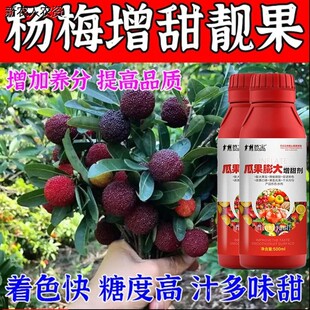 杨梅膨大增甜剂专用叶面肥转黑转红膨大剂防落增甜着色增产