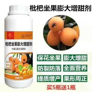 枇杷树专用肥金丸树肥料保花保果防落果座果膨大增重增甜剂叶面肥