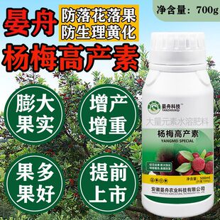 杨梅高产杨梅膨大剂保花保果杨梅树专用药防落果增产防裂硬果转色