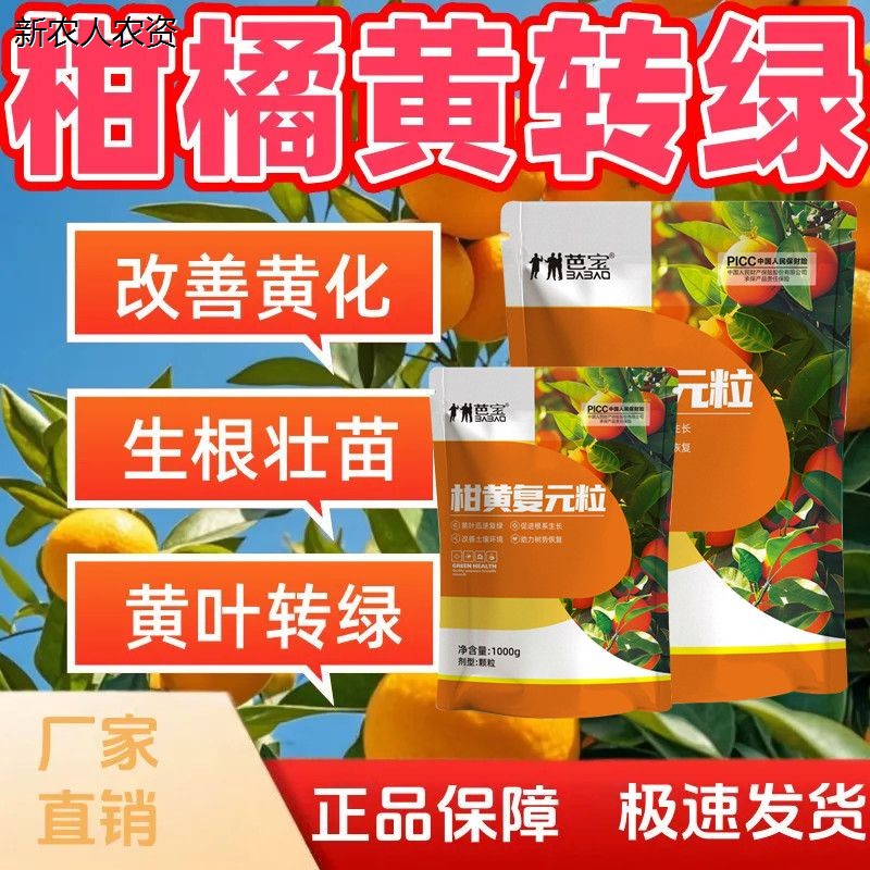 芭宝柑黄复元粒营养改树图片