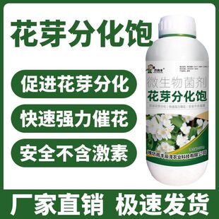 农良丰花芽分化饱瓜果蔬菜促进保花保果增产增收叶面水溶肥料正品
