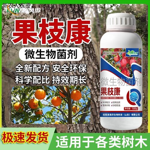 果枝康果树树干根腐病专