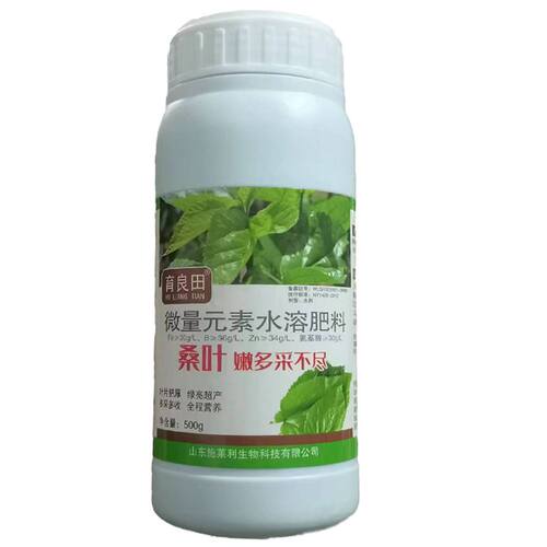 桑叶嫩多采不尽叶片肥厚