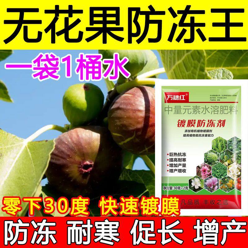 无花果防冻剂叶面肥无花果防冻液肥料增产抗冻耐寒蔬菜果树防冻肥