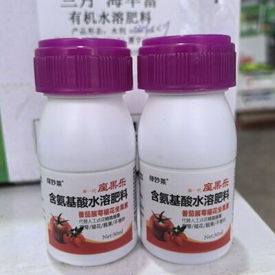 绿妙莱坐果乐新一代番茄