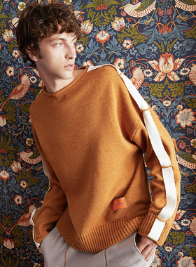 埃森费姆男装圆领潮流毛衣男宽松套头羊毛衫秋装内搭休闲男针织衫