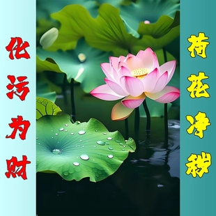 荷花贴画莲花粉色白莲花荷花叶荷塘自然风景海报挂画装饰画卫生间