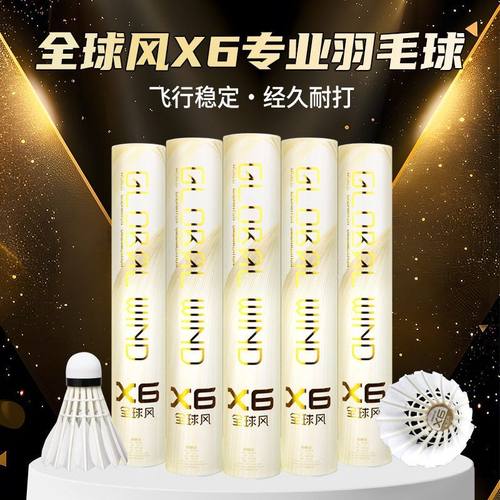 全球风X6超耐打羽毛球鹅毛