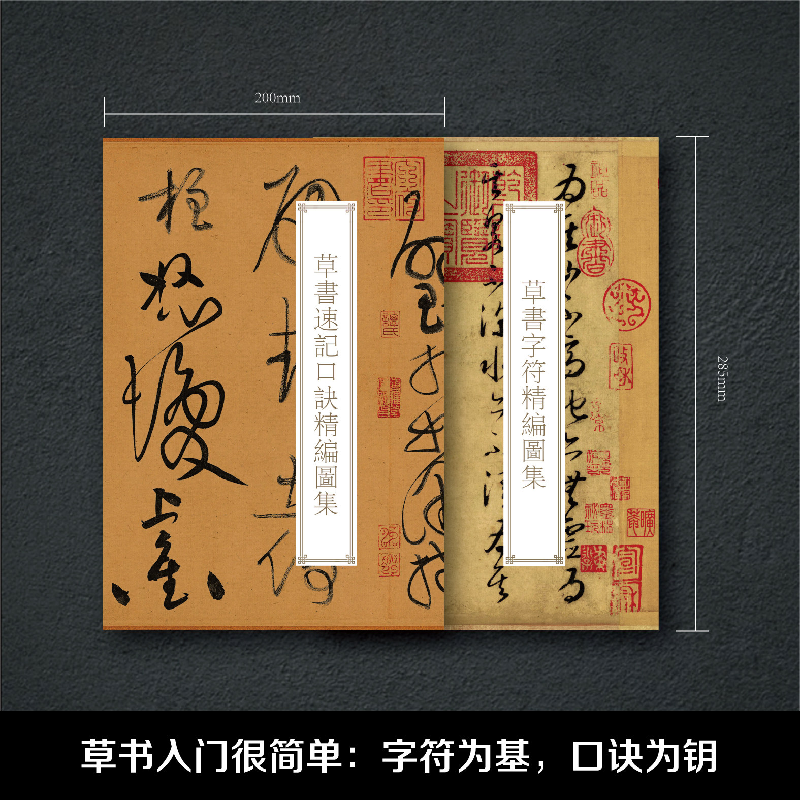 书法临摹字帖首选【草书字符精编】【草书速记口诀精编】练字贴