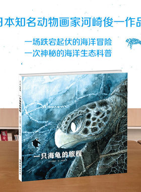 一只海龟的旅程 日本动物画家河崎俊一作品儿童海洋生态科普绘本图画故事书籍和孩子一起读懂生命保护自然爱护地球环境
