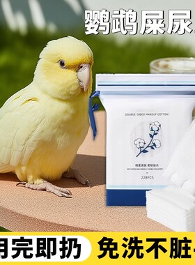 鹦鹉尿片尿不湿垫屎兜一次性隔尿布小鸟玄凤和尚虎皮牡丹用纸尿裤